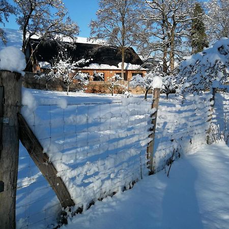 Gite Spacieux Et Cosy A La Campagne Proche De Strasbourg Achenheim Exterior photo