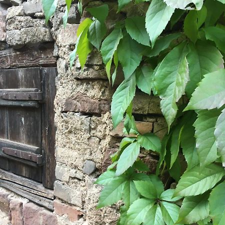 Gite Spacieux Et Cosy A La Campagne Proche De Strasbourg Achenheim Exterior photo