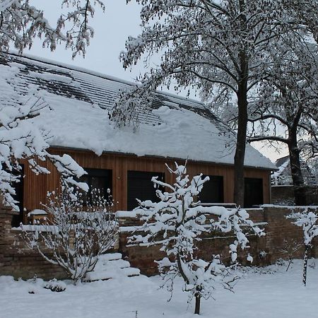 Gite Spacieux Et Cosy A La Campagne Proche De Strasbourg Achenheim Exterior photo