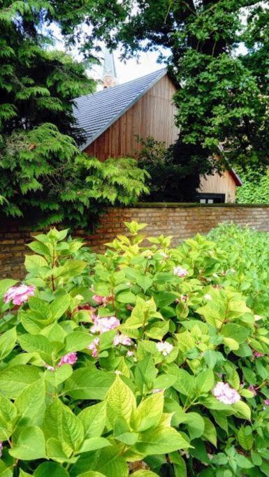 Gite Spacieux Et Cosy A La Campagne Proche De Strasbourg Achenheim Exterior photo