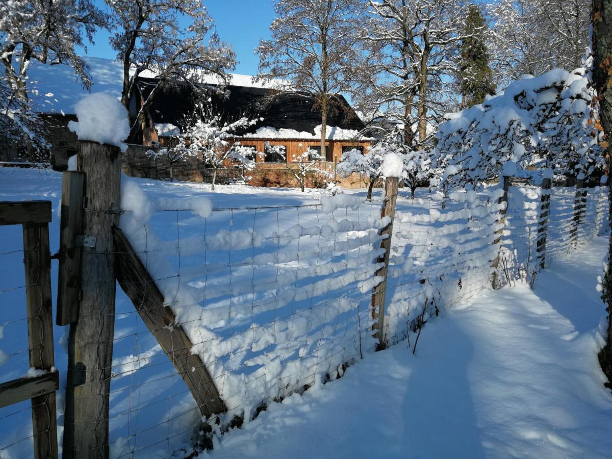 Gite Spacieux Et Cosy A La Campagne Proche De Strasbourg Achenheim Exterior photo