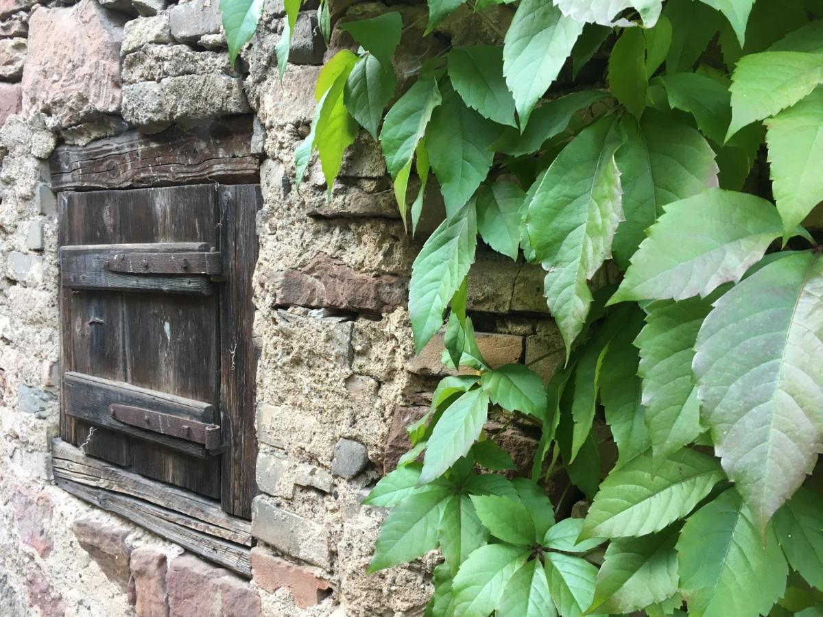 Gite Spacieux Et Cosy A La Campagne Proche De Strasbourg Achenheim Exterior photo