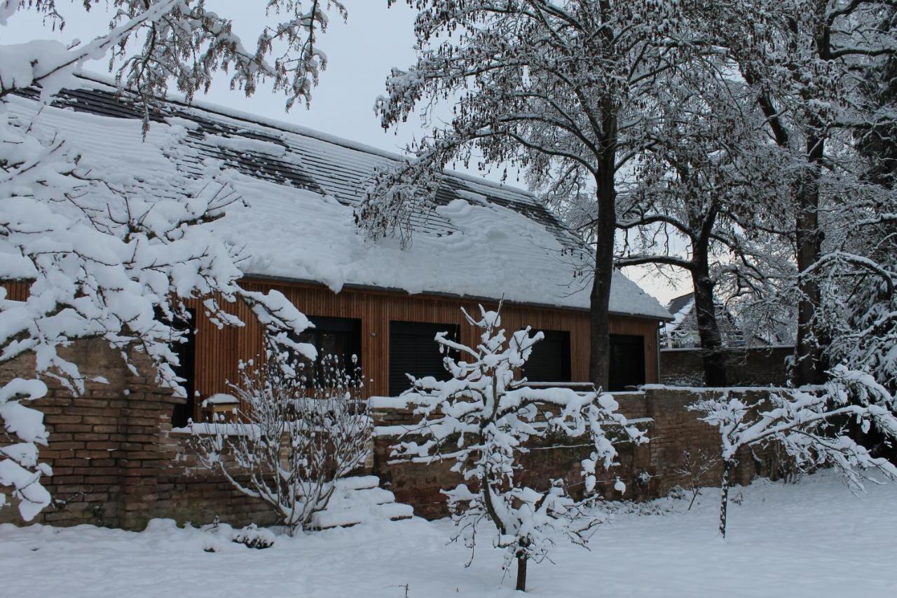 Gite Spacieux Et Cosy A La Campagne Proche De Strasbourg Achenheim Exterior photo